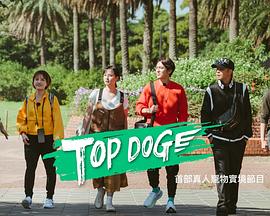 色情导航《TOP DOG》免费在线观看