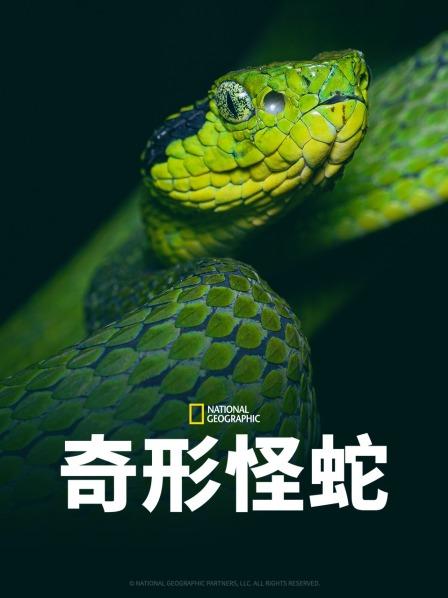 色情论坛《奇形怪蛇》免费在线观看